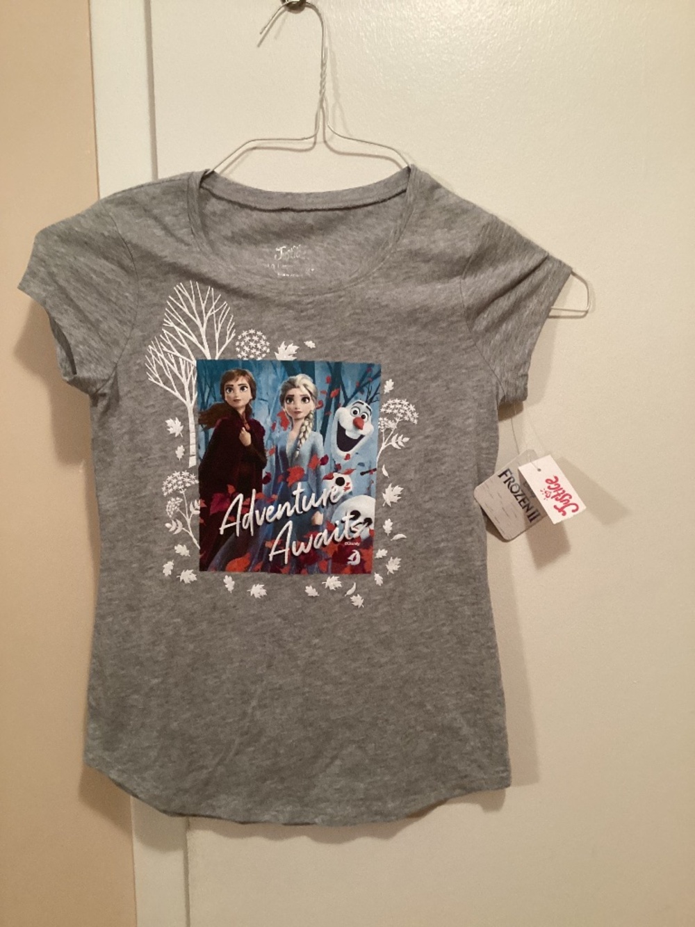 Frozen II Adventure Awaits t-shirt (Y-10)